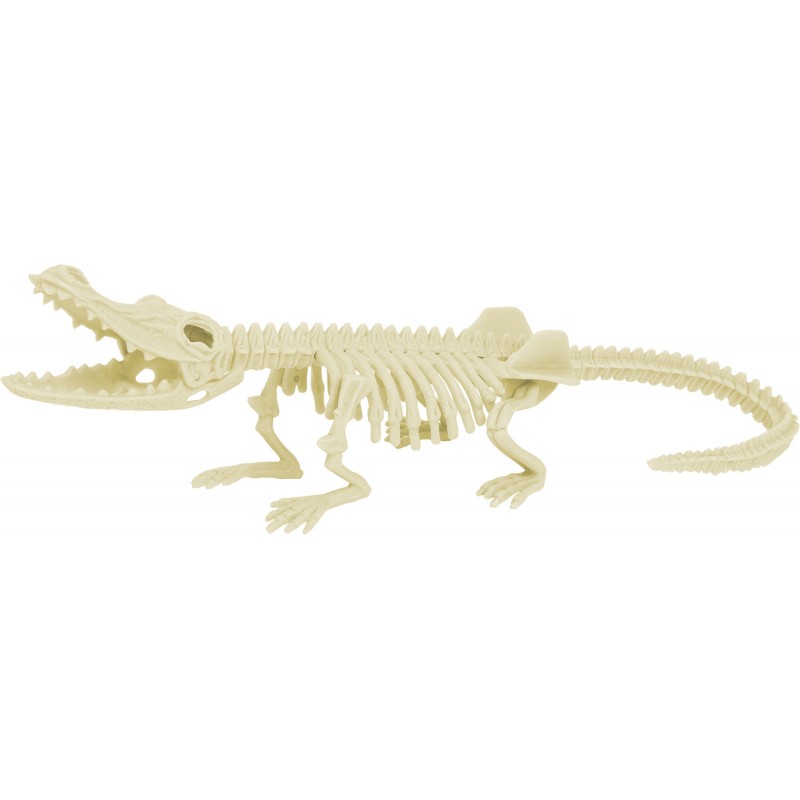 kit-paleo-crocodile (1)
