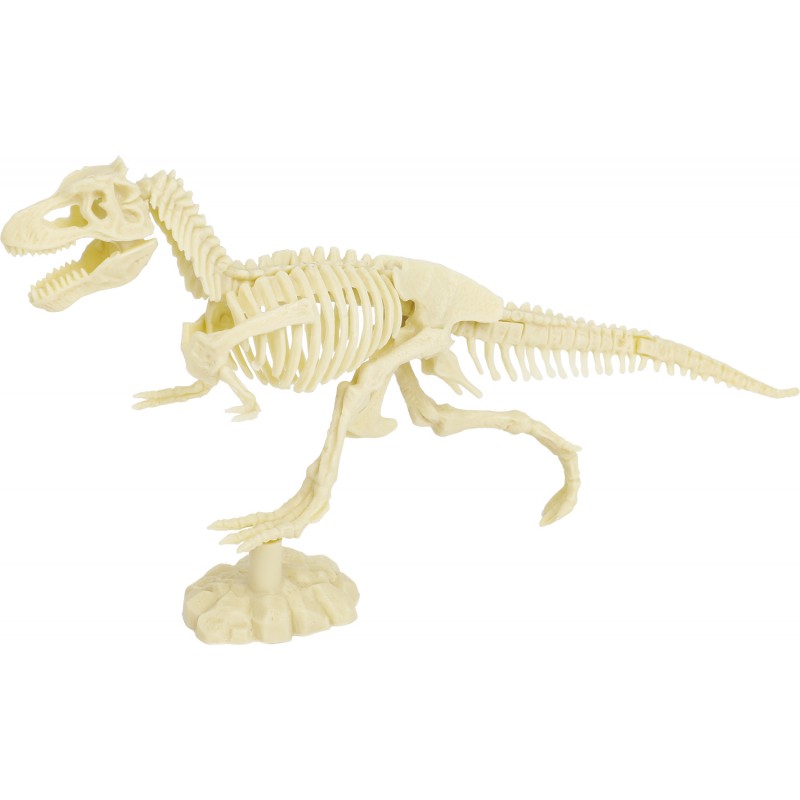 kit-paleo-trex (1)