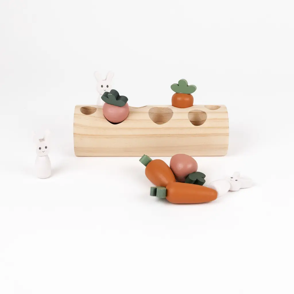 buche-lapins-carottes-encastrement-egmont-2