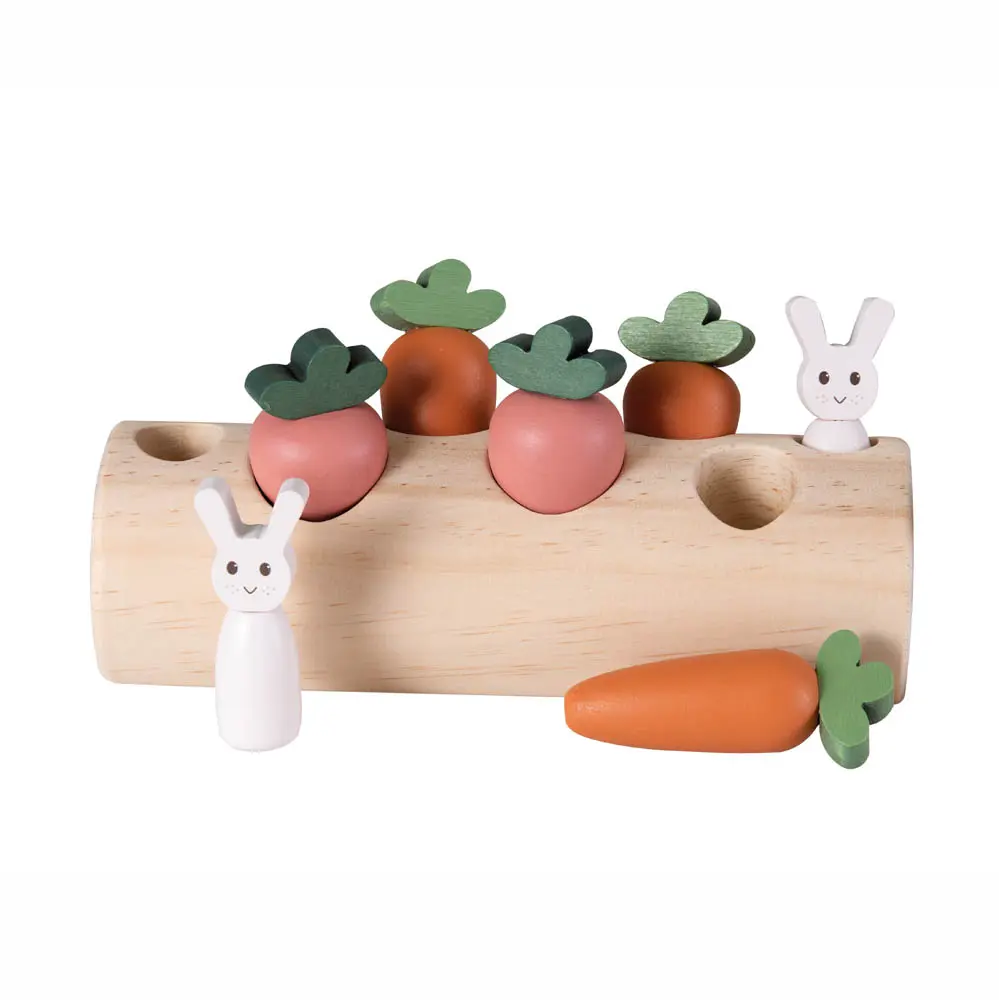 buche-lapins-carottes-encastrement-egmont-5