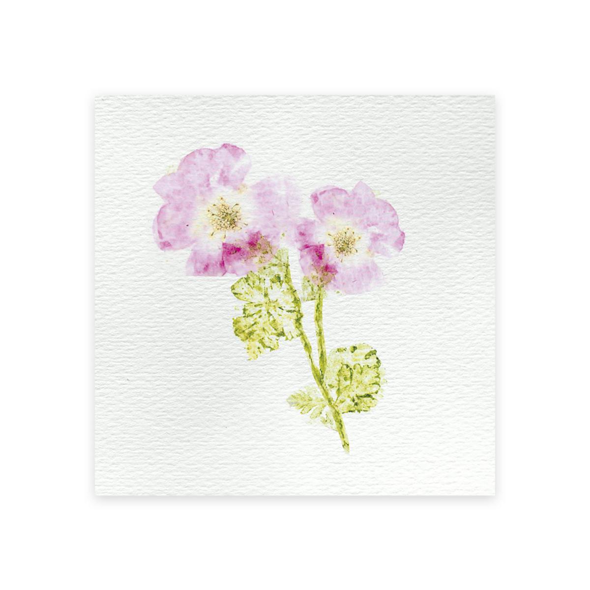 coffret-6-realisations-presse-fleurs-janod-4