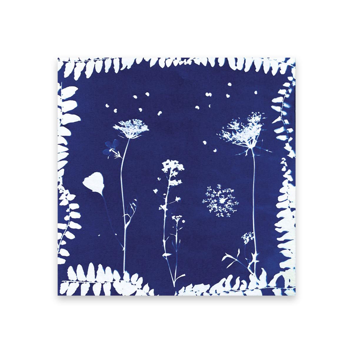 coffret-6-realisations-presse-fleurs-janod-7