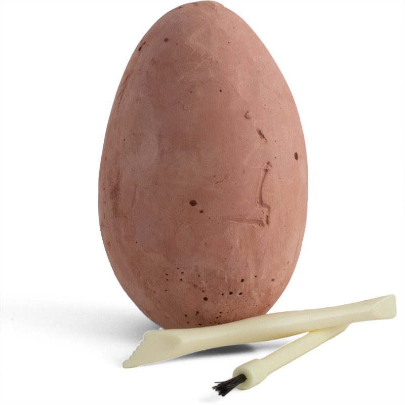 kit-paleo-oeuf-mini-dinosaure-ulysse-2