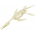 kit-paleo-pliosaure (1)