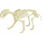 kit-paleo-smilodon (1)