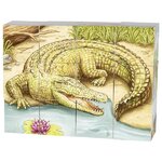 puzzle-cube-animaux-australie-goki-3
