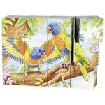 puzzle-cube-animaux-australie-goki-2