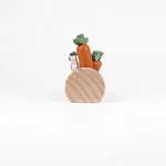 buche-lapins-carottes-encastrement-egmont-3