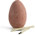 kit-paleo-oeuf-mini-dinosaure-ulysse-2