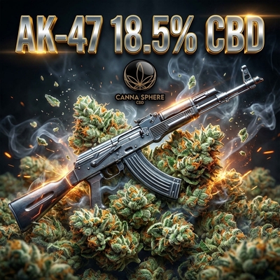 ak 47