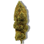Banana-cream-webp-500
