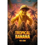tropical bannana