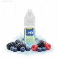 Wild Berries Ice (Sel de nicotine) 10ML - JNR