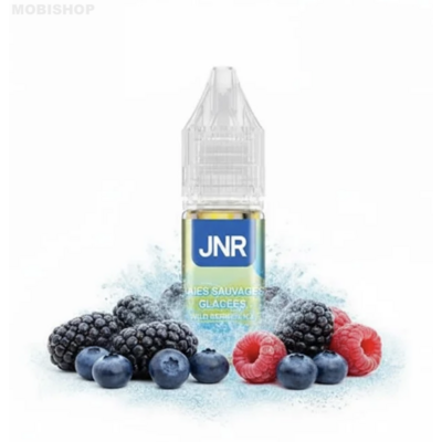 e-liquide-wild-berries-ice-salt-20mg-jnr-e1769525461299-saint-etienne