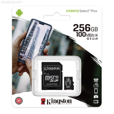 KINGSTON Select+ Carte microSD 256Go Saint-Etienne Mobishop