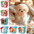 Scaa95c350c1846a381f5893eaaa728e2d