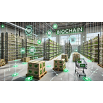 4. BioChain 2