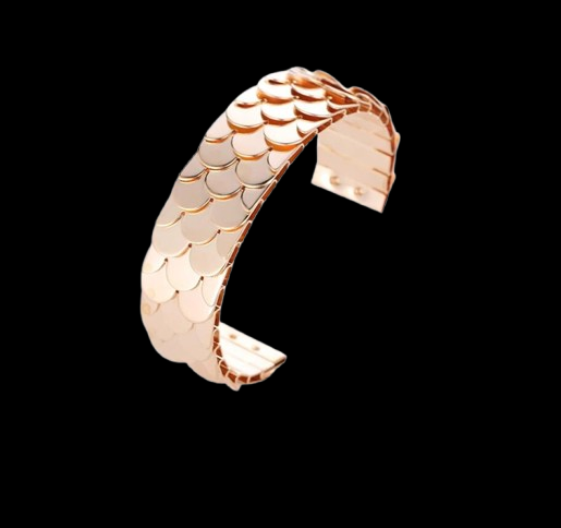 bracelet-en-acier-inoxydable-pour-femme_description-5-removebg-preview