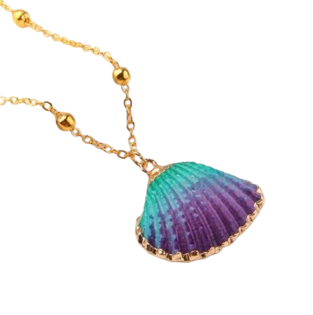 Capture11-removebg-preview