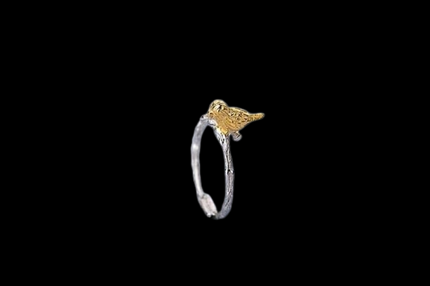 bague-en-argent-sterling-925-bijoux-br_description-2-removebg-preview (1)