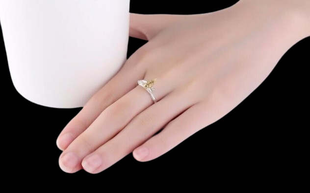 bague-en-argent-sterling-925-bijoux-br_description-8-removebg-preview (1)