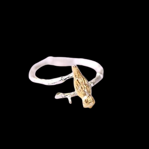bague-en-argent-sterling-925-bijoux-br_main-2-removebg-preview (1)