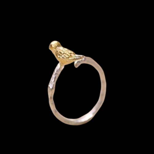 bague-en-argent-sterling-925-bijoux-br_main-1-removebg-preview (1)
