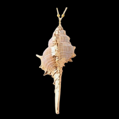 Capture2-removebg-preview (3)