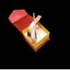 Capture15-removebg-preview (1)