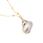 Capture10-removebg-preview