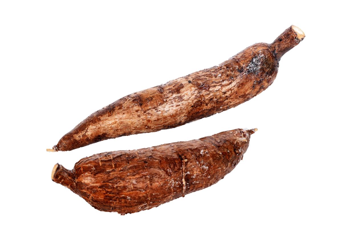 Manioc frais - Libre service