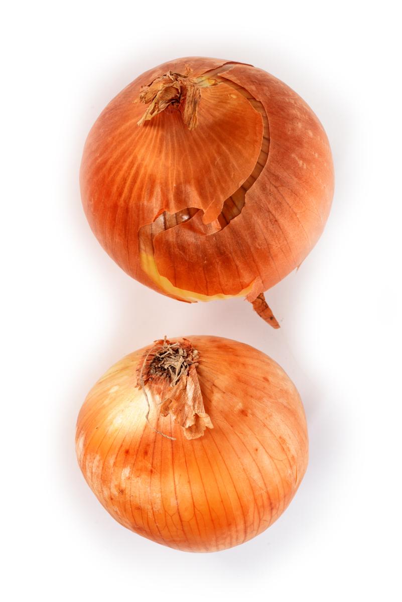 ADI-3516-zoom