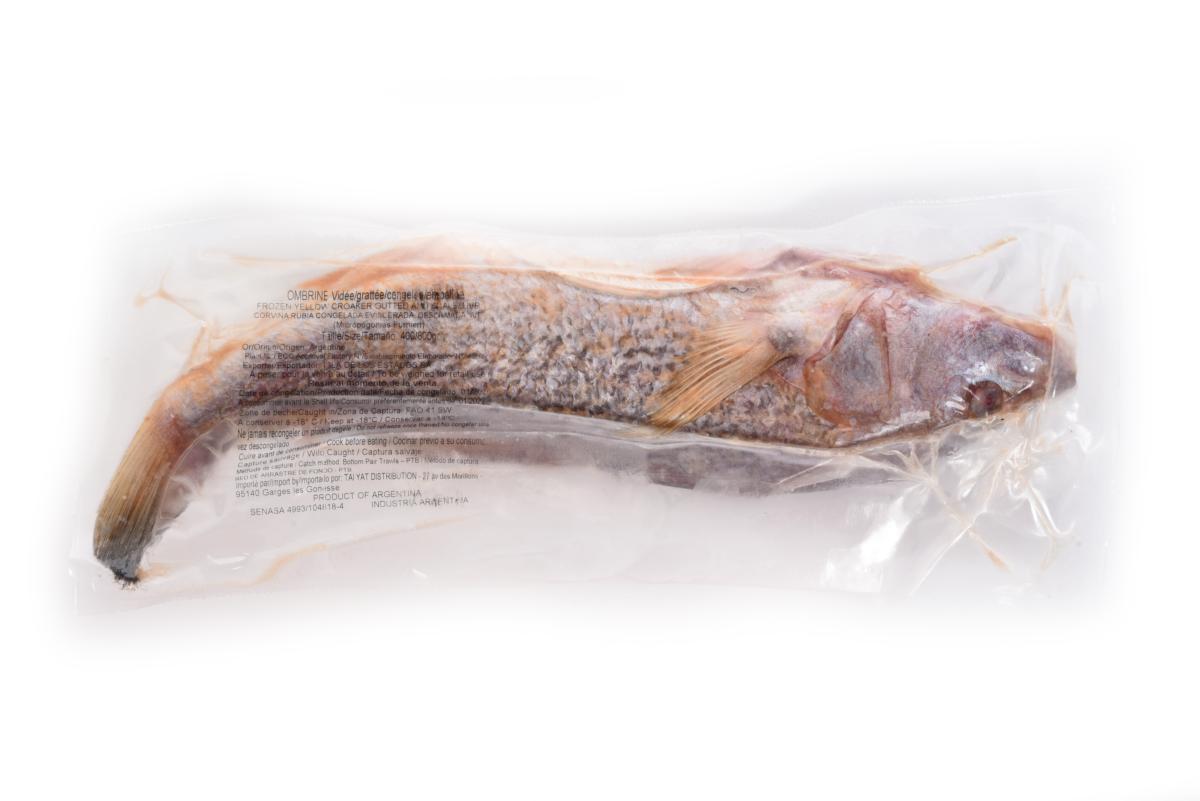 Ombrine vidée surgelé