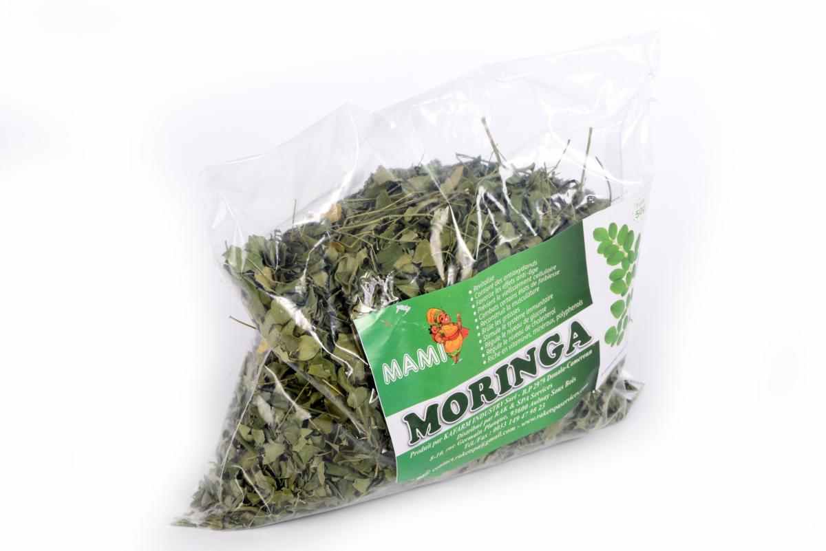 Moringa séchées