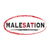 Malesation