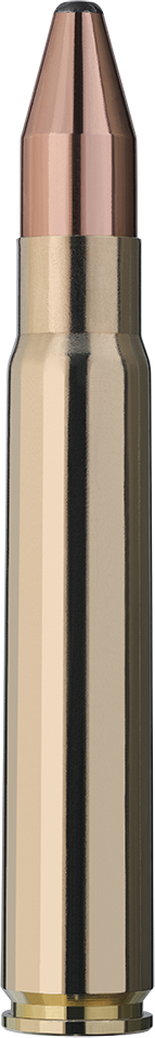RWS 9.3x62 Pointe conique KS 247 gr / 16 g
