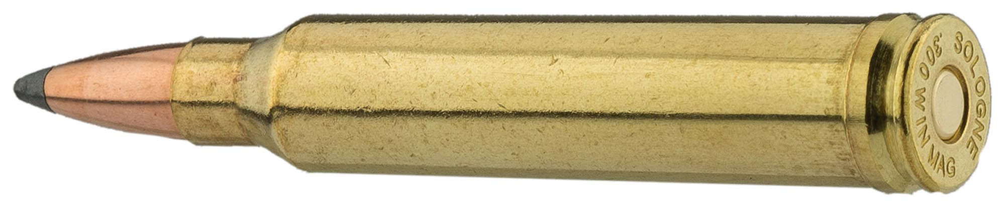 BG3001-4