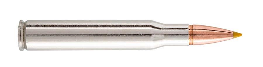 BW1302-1