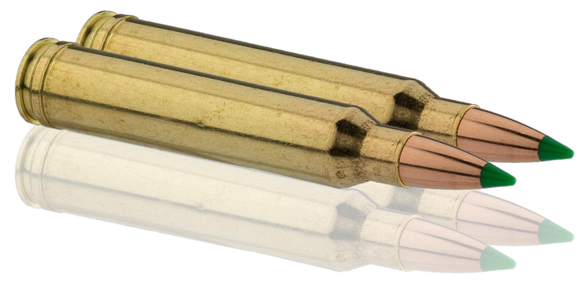 Sologne .300 Win. Mag. Nosler Ballistic Tip 150 gr / 9,7 g