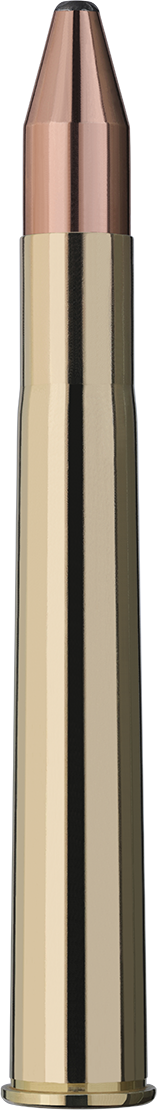 RWS 9.3x74 R Pointe conique KS 247 gr / 16 g