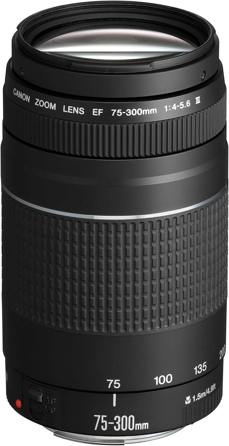 Canon EF 75-300mm F4.0-5.6 III Telezoomobjektiv (58mm Filtergewinde)