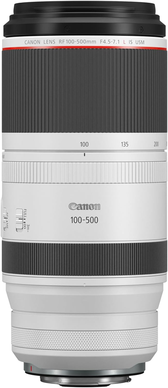 Canon Objektiv RF 100-500mm F4.5-7.1L is USM hellgrau