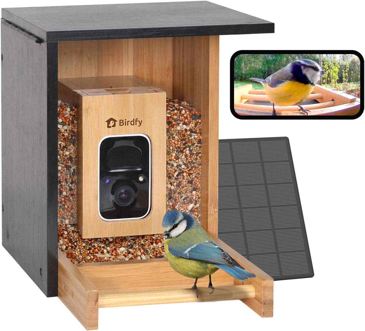 NETVUE by Birdfy Vogelfutterhaus mit Kamera, Solarbetrieben, Automatische Erfassung von Vögeln und Rechtzeitige Benachrichtigung, Leistungsstarke KI-Erkennung, Futterhaus Für Vögel aus Bambusholz KI im Abonnement+Solar