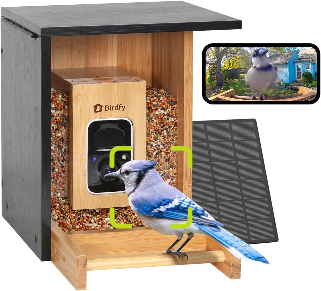 NETVUE by Birdfy Vogelfutterhaus mit Kamera, Solarbetrieb Bambus WLAN Vogelfutterstation, KI-Vogelidentifikation, Automatische Videoaufnahme, Vogelbenachrichtigung, Vogelhaus mit Kamera KI-Lebensdauer+Solar