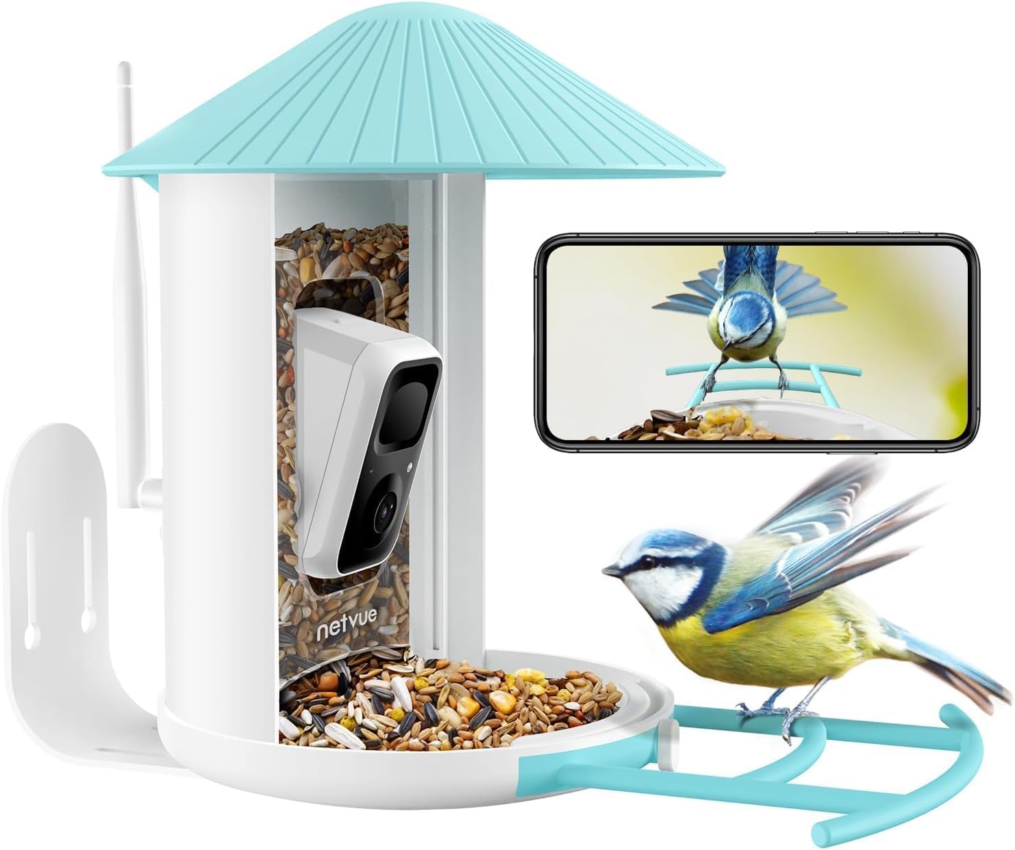 NETVUE by Birdfy Vogelfutterhaus mit Kamera für Live Vogelbeobachtung, Vollfarbe Nachtsicht Smart WLAN Vogelfutterstation, Futterhaus für Vögel, Automatische Videoaufzeichnung bei Vogelbesuch Blau & Weiß