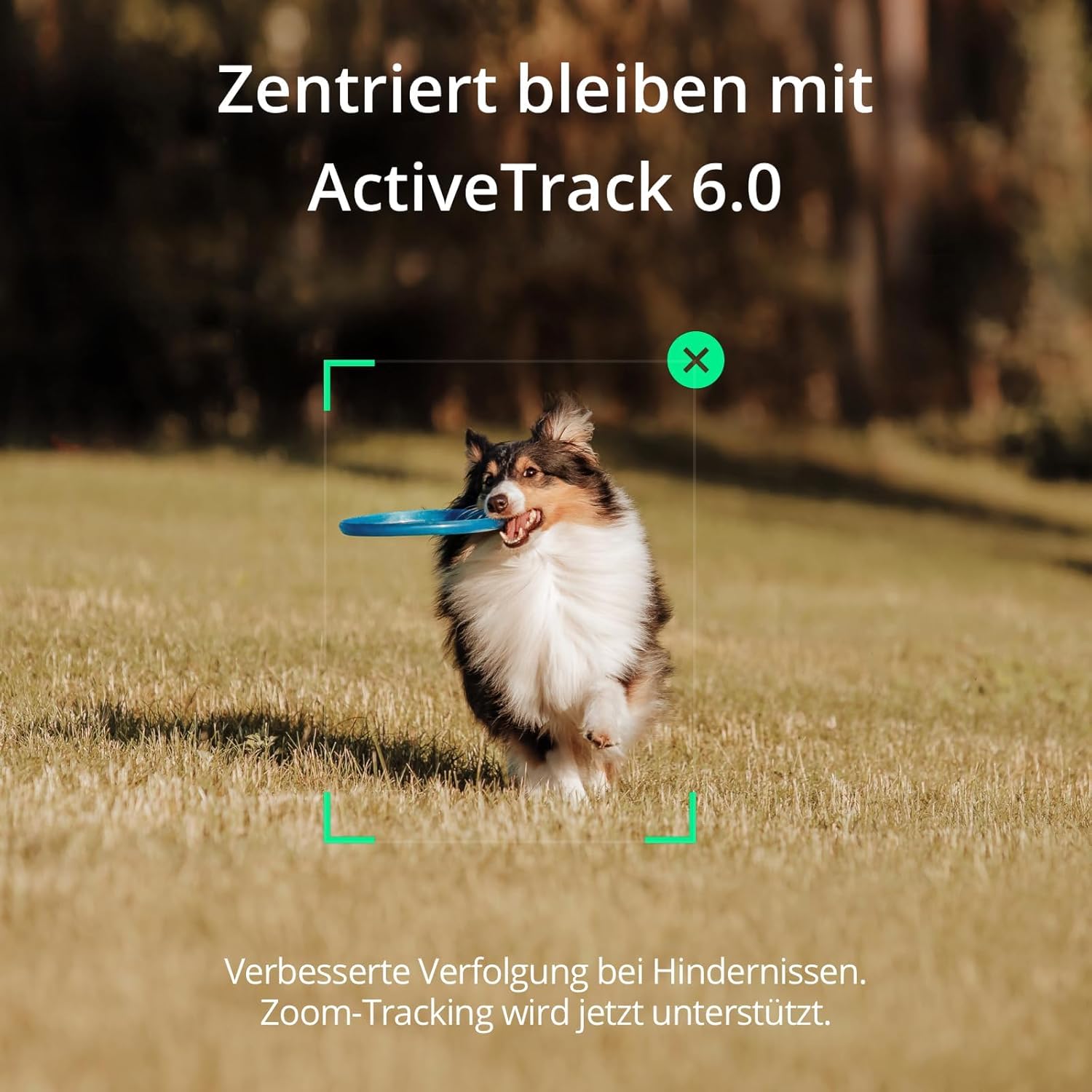 718MtQXCZOL._AC_SL1500_