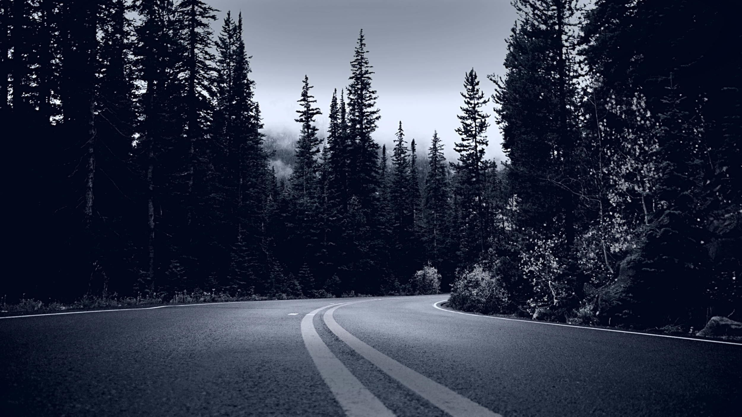 business journey