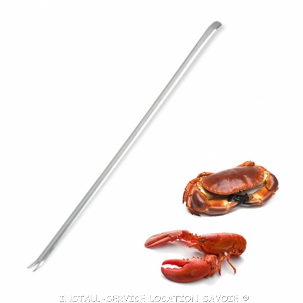 Curette à homard
