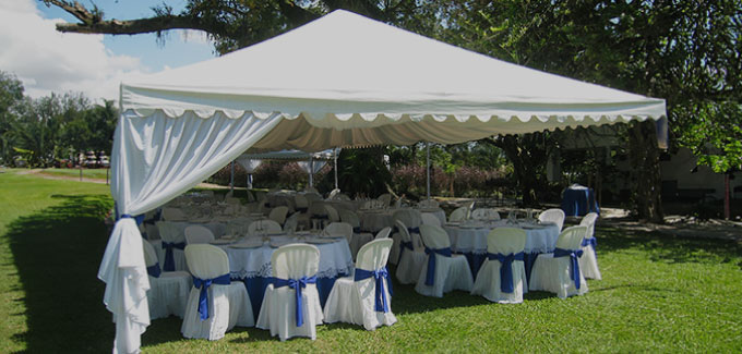 crea install service vignette tante