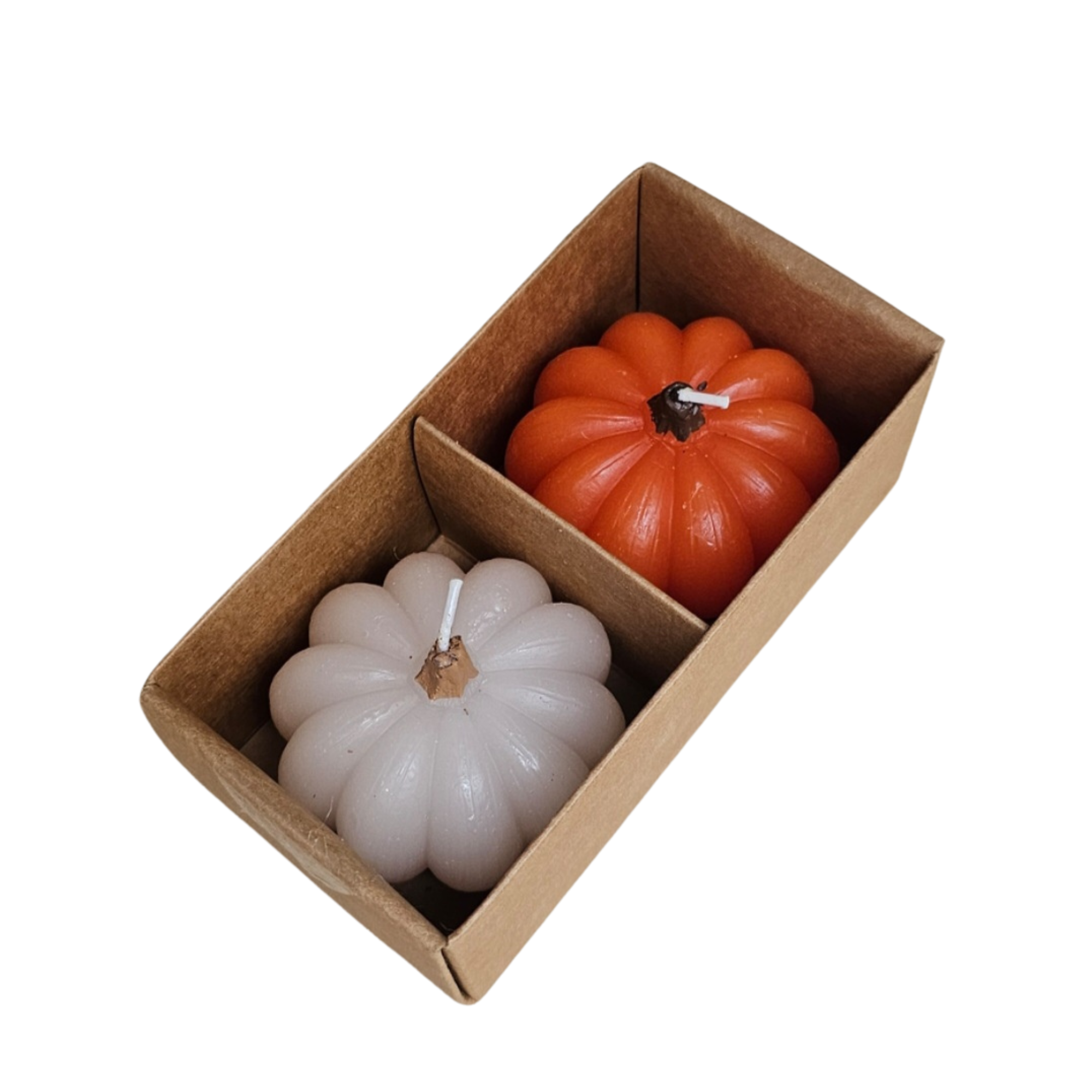 Co Automne 2026 - 256